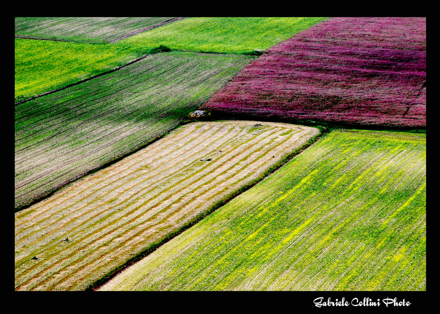 castelluccio