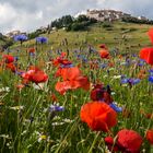 Castelluccio 3