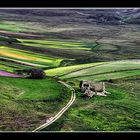 Castelluccio