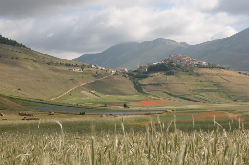 castelluccio