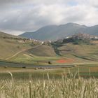 castelluccio