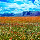 Castelluccio