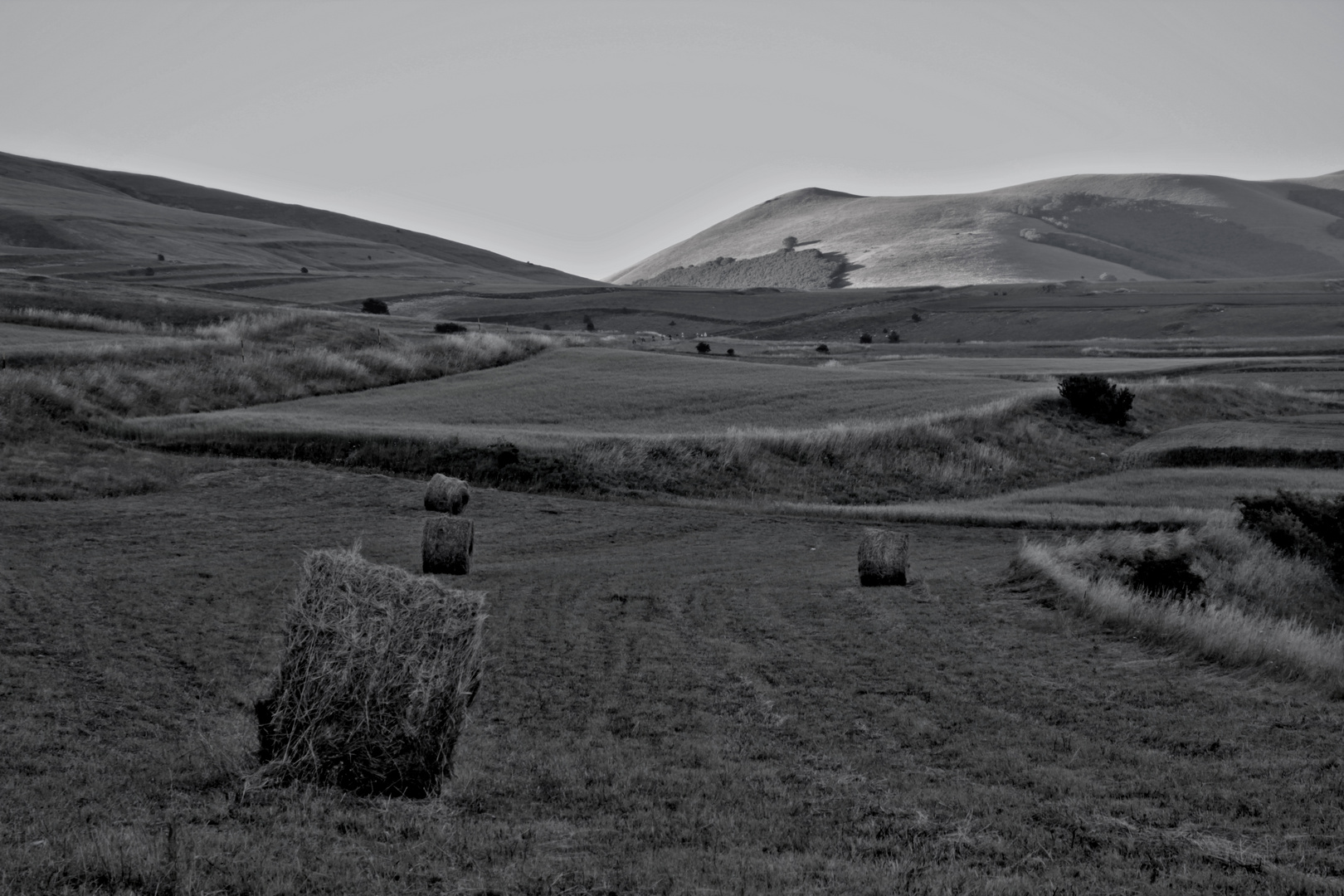 Castelluccio