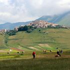 CASTELLUCCIO