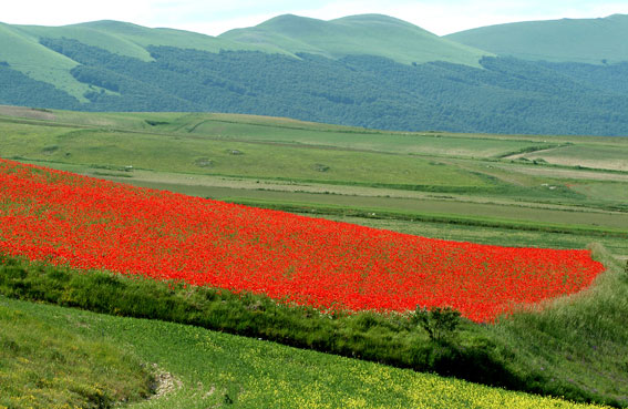 castelluccio 7