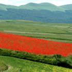 castelluccio 7