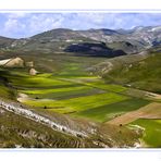 Castelluccio