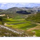 Castelluccio