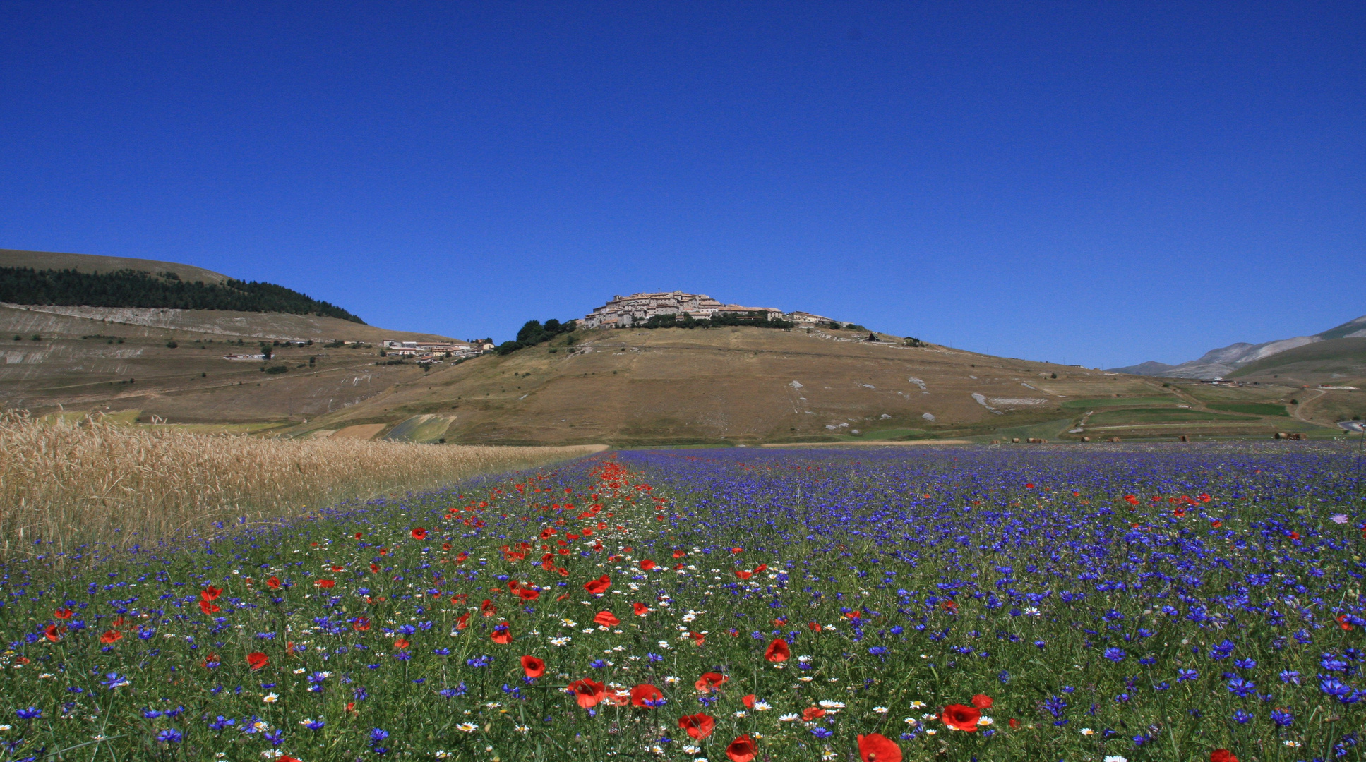 castelluccio