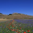 castelluccio