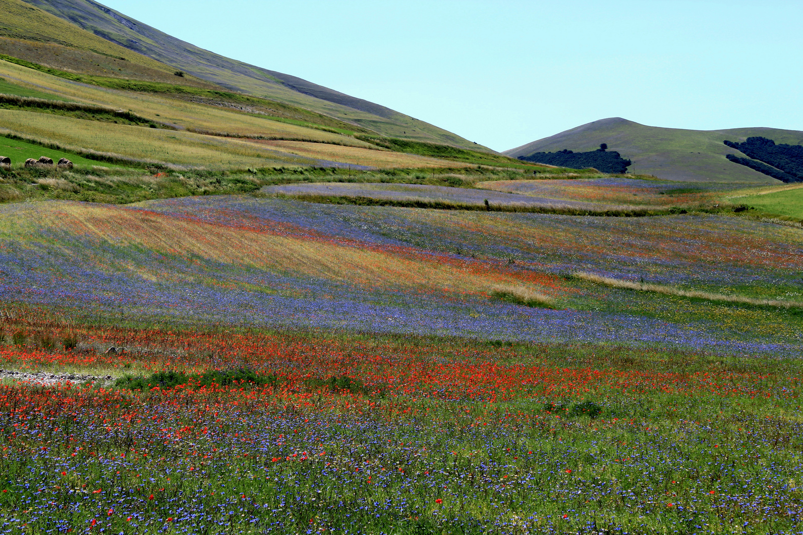 Castelluccio Foto & Bild europe, italy, vatican city, s marino, italy