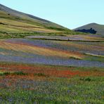 Castelluccio