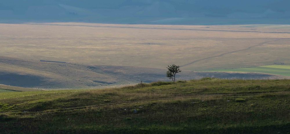 Castelluccio