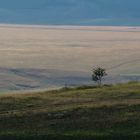 Castelluccio