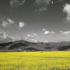 castelluccio