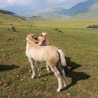 castelluccio