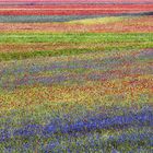 Castelluccio....