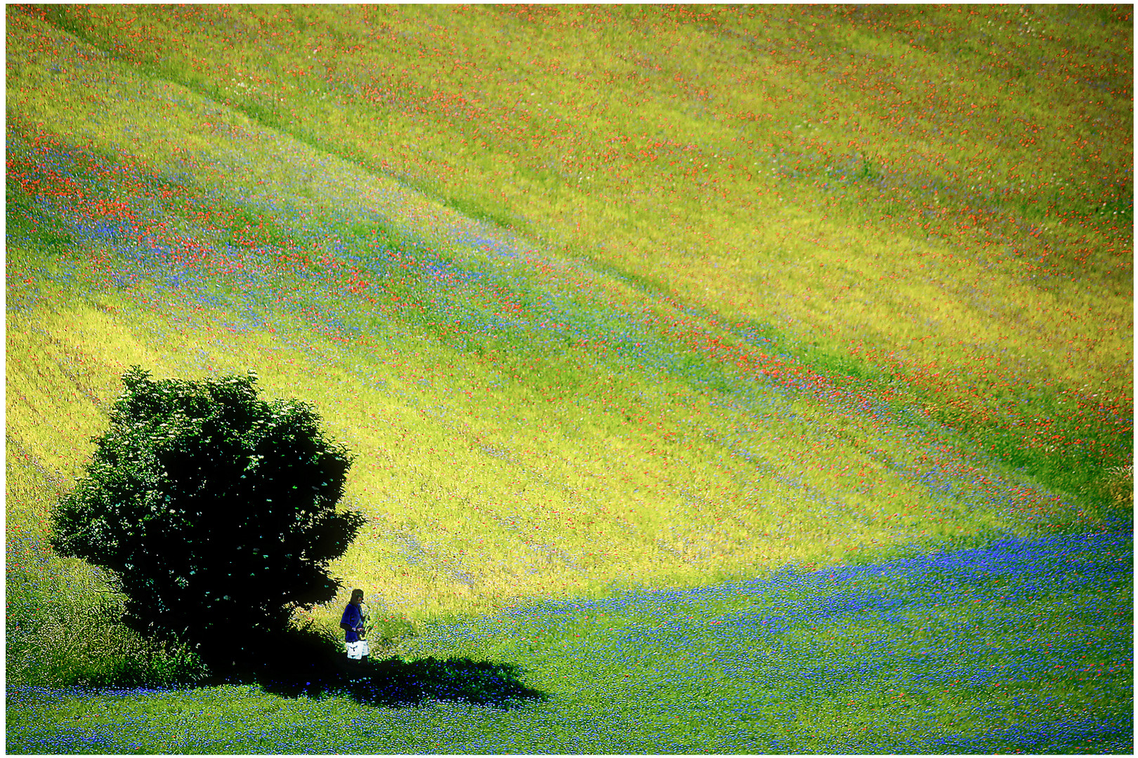 Castelluccio country sax