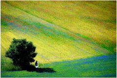 Castelluccio country sax