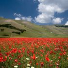 Castelluccio da Norcia