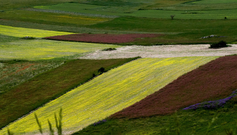 CASTELLUCCIO DI NORCIA