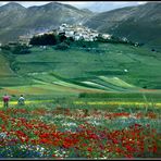 Castelluccio di Norcia # 1