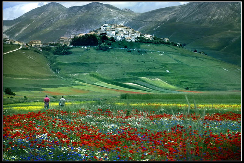 Castelluccio di Norcia # 1