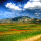 castelluccio di norcia