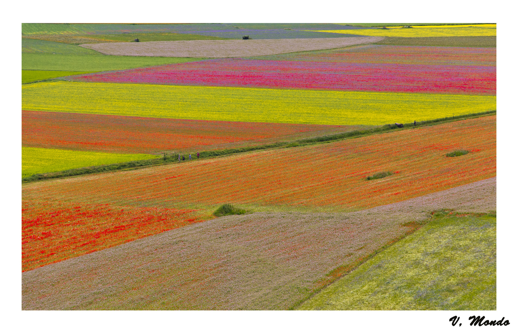 castelluccio di Norcia 2