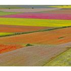 castelluccio di Norcia 2