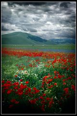 Castelluccio di Norcia #3