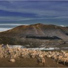 Castelluccio di Norcia