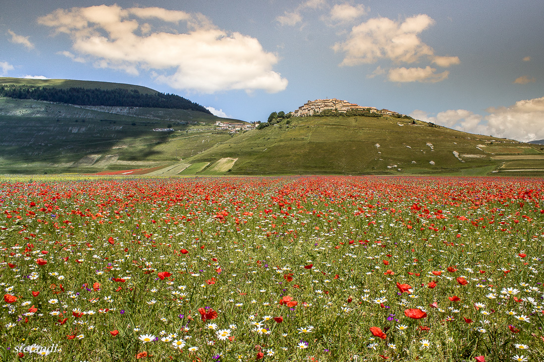 castelluccio di norcia