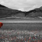 CASTELLUCCIO DI NORCIA