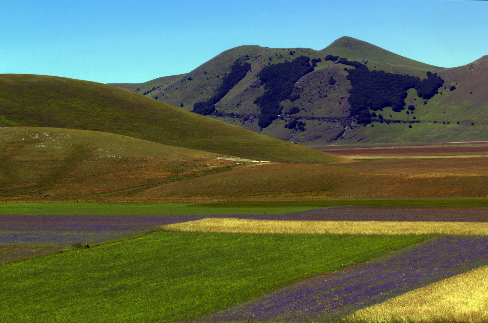 Castelluccio di Norcia