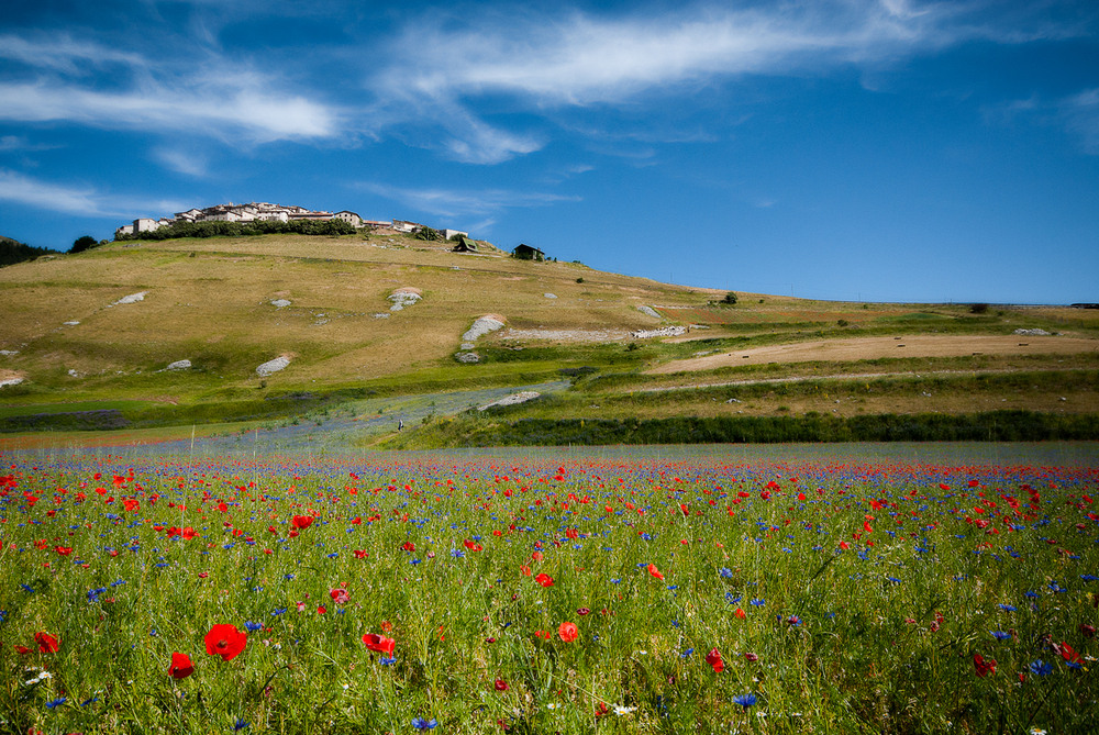 Castelluccio di Norcia