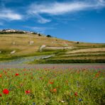 Castelluccio di Norcia