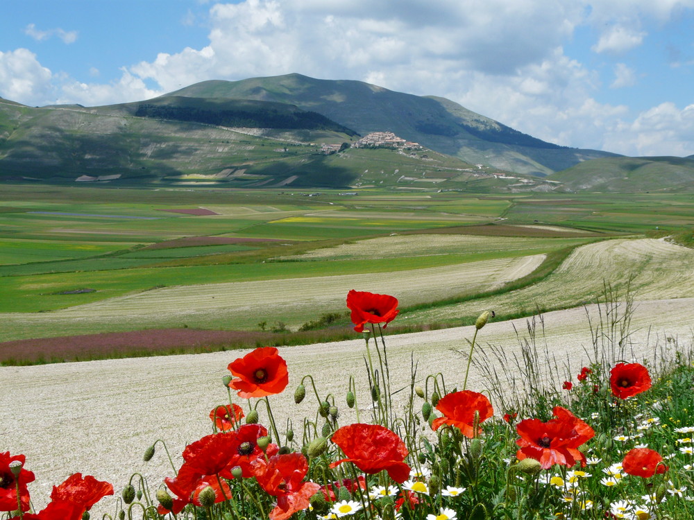 Castelluccio di Norcia