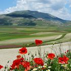 Castelluccio di Norcia