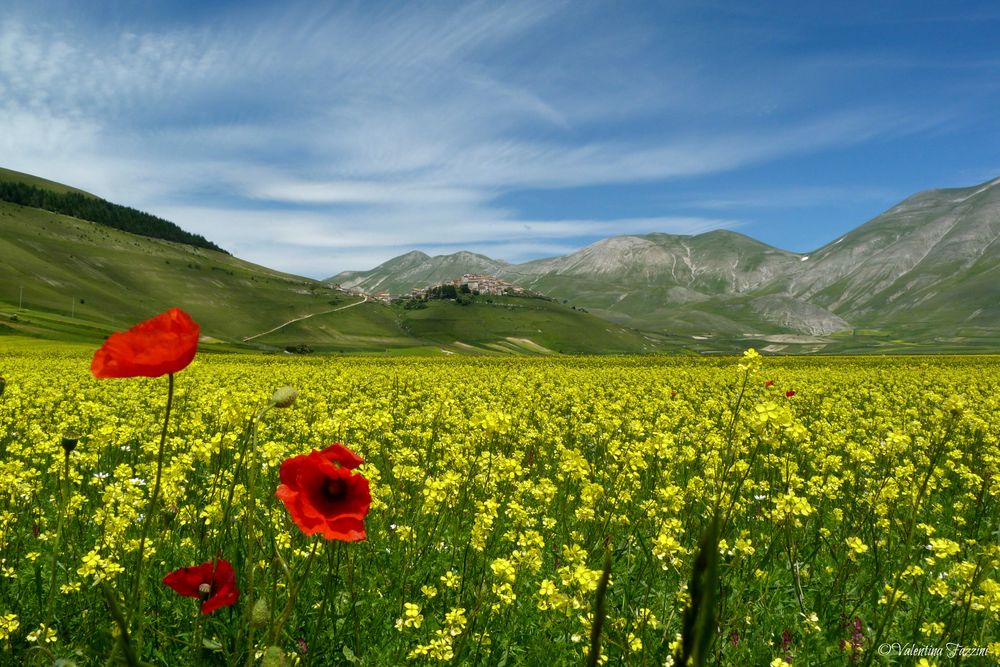 Castelluccio di Norcia