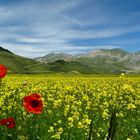 Castelluccio di Norcia