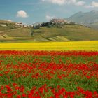 CASTELLUCCIO DI NORCIA