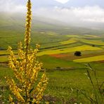 Castelluccio di Norcia