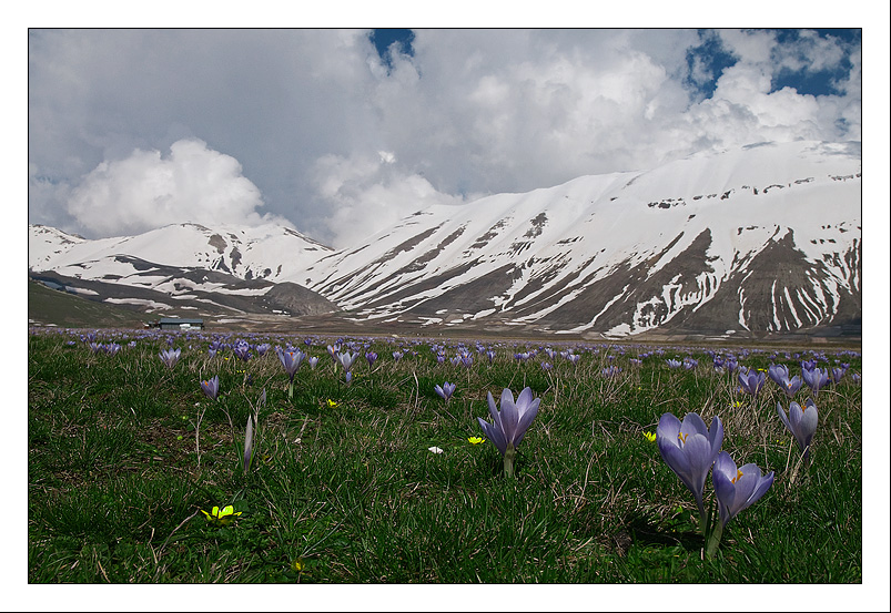 Castelluccio di Norcia