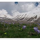 Castelluccio di Norcia