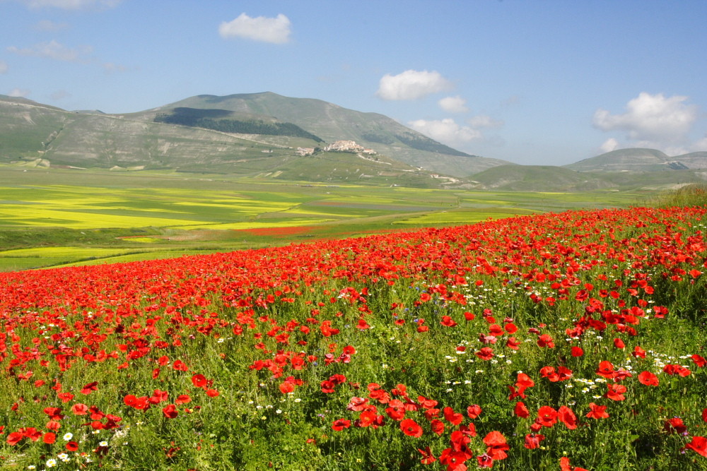 Castelluccio di Norcia