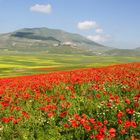 Castelluccio di Norcia