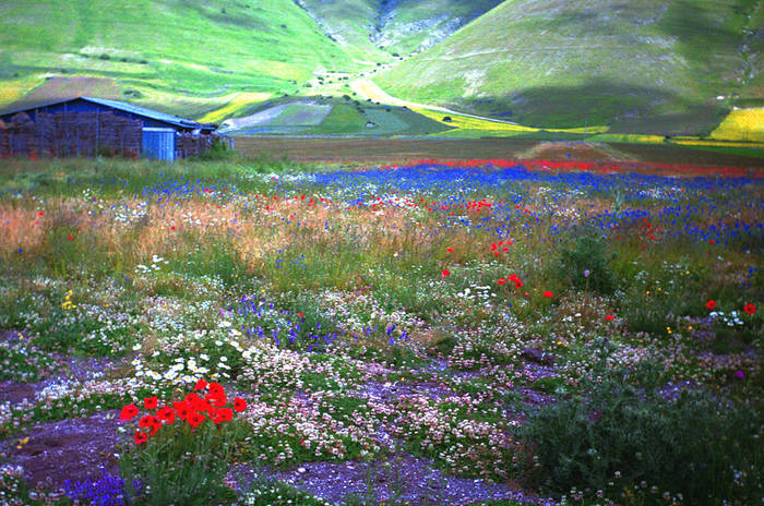 Castelluccio di Norcia