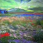 Castelluccio di Norcia