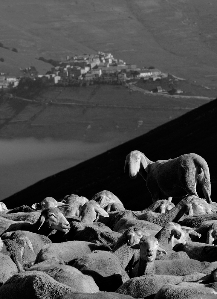 Castelluccio di Norcia